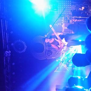 Animals as Leaders